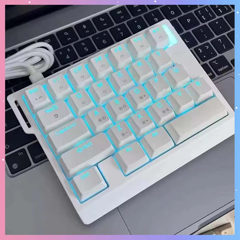 HE30 メカニカルゲーミングキーボード 29キー 磁気スイ - Gaming Keyboard Magnetic Switches のレビューと価格