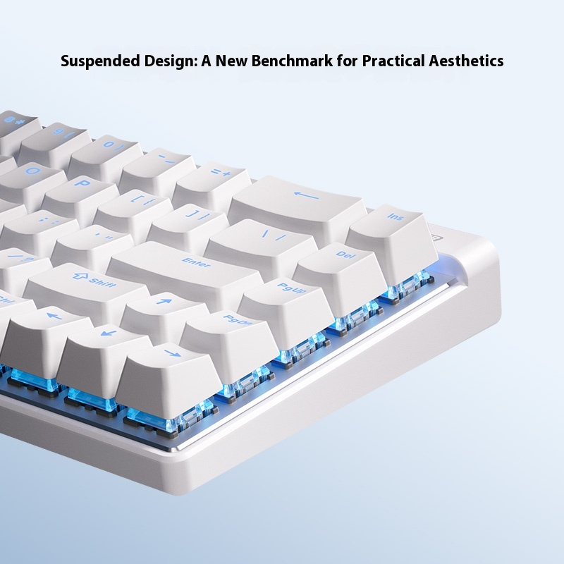 MCHOSE ACE 68 エアゲーミングキーボード 有線e - Gaming Keyboard Magnetic Switches のレビューと価格